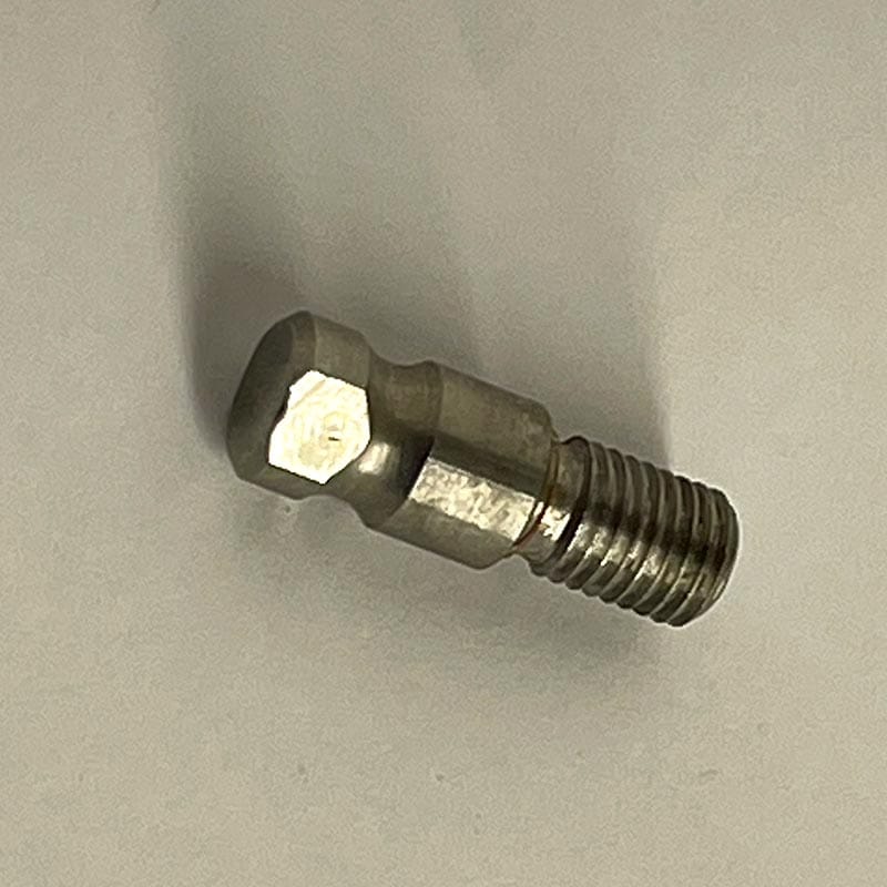 Chrome Front Turn Signal CAM BOLT